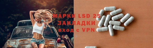 ПСИЛОЦИБИНОВЫЕ ГРИБЫ Алзамай