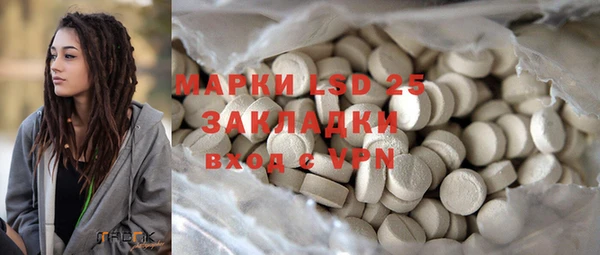 ПСИЛОЦИБИНОВЫЕ ГРИБЫ Алзамай