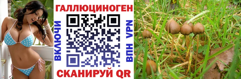 Галлюциногенные грибы GOLDEN TEACHER  гидра ONION  Кострома 